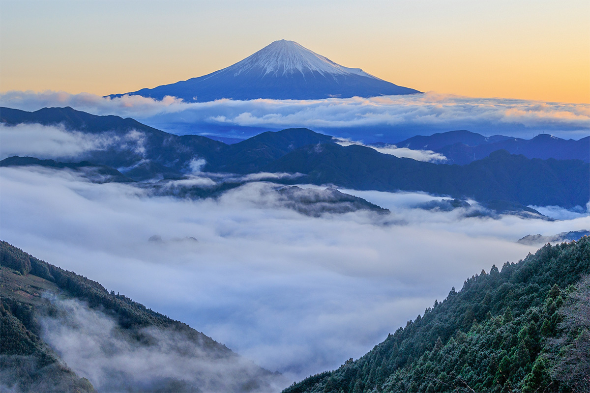 富士石川農園内