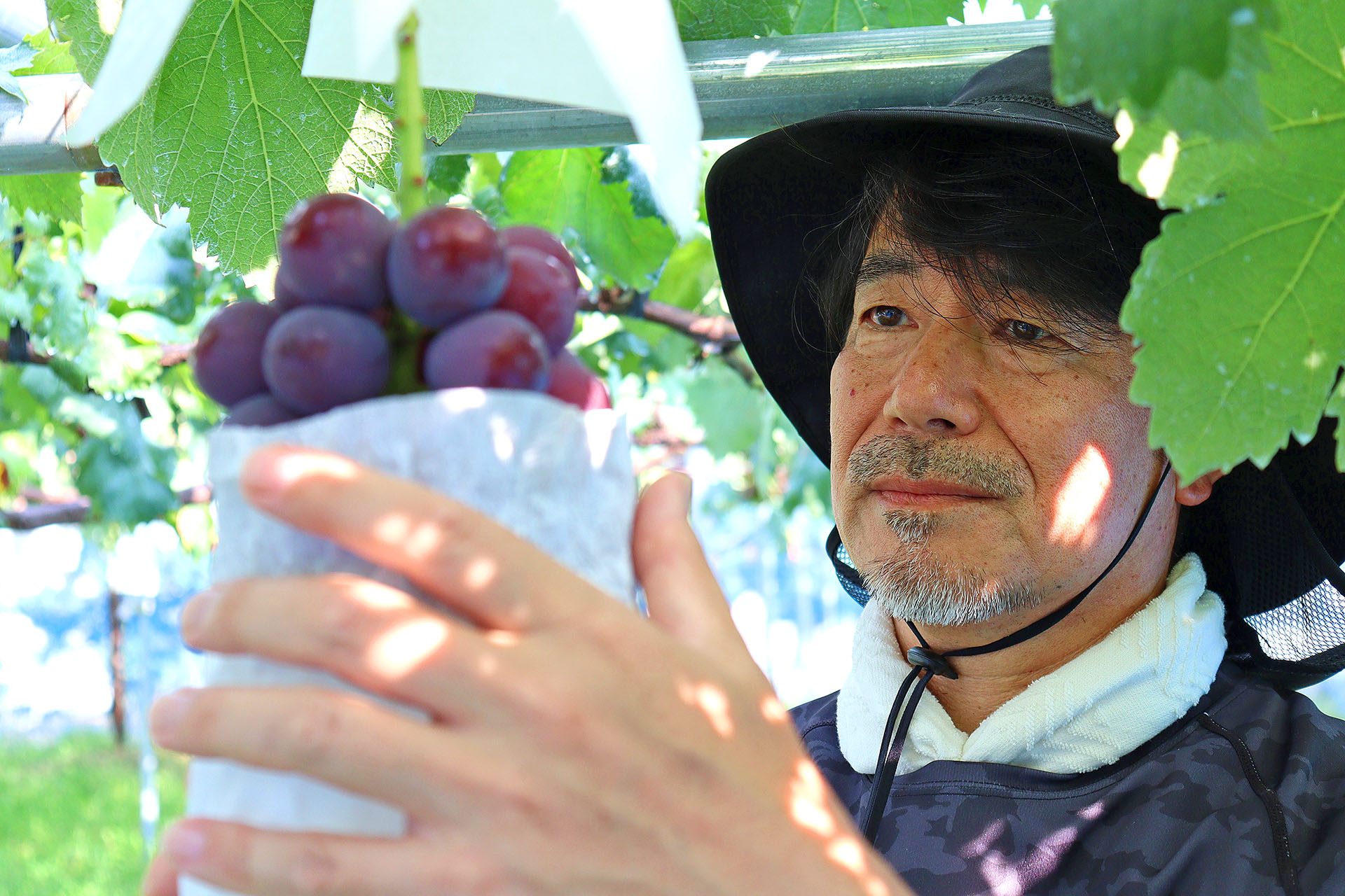 富士石川農園 代表